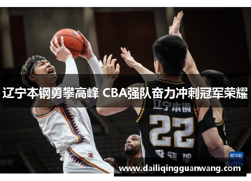 辽宁本钢勇攀高峰 CBA强队奋力冲刺冠军荣耀